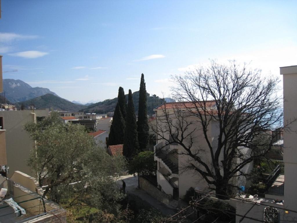 Apartment Stana Petrovac Extérieur photo