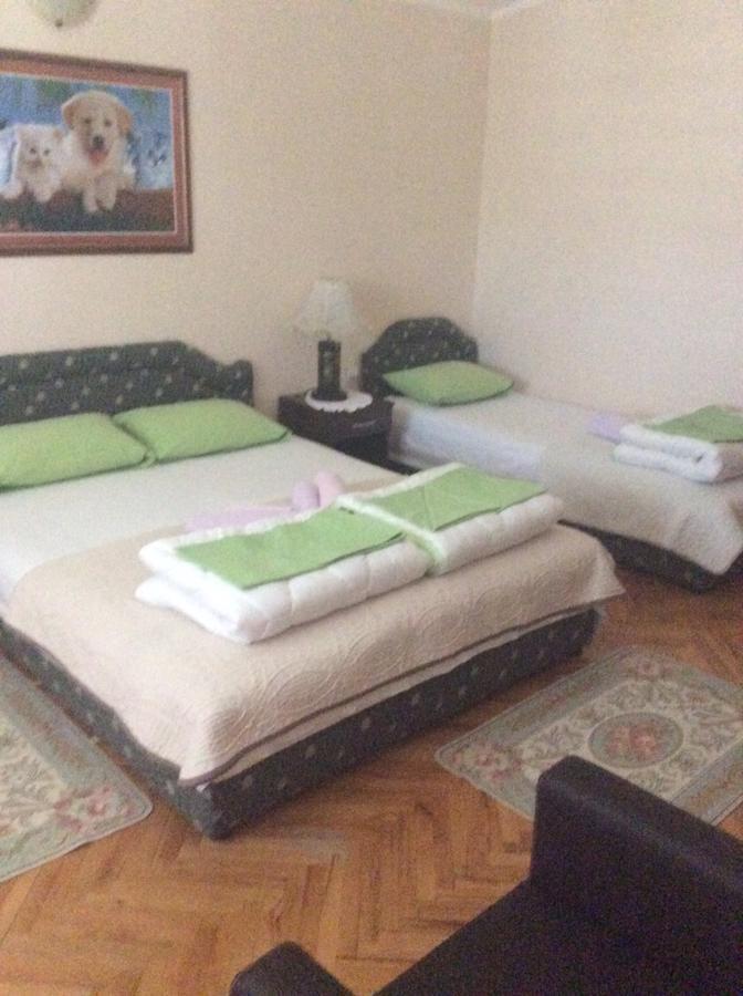 Apartment Stana Petrovac Extérieur photo